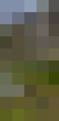 Anna, Kobieta, 51, Polska, Zdjęcie: 12