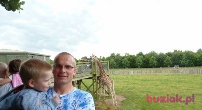 Sławomir, Mężczyzna, 37, Ryglice, Polska, Zdjęcie: 4