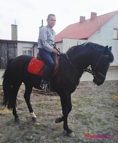 Mateusz, Mężczyzna, 42, Gostyń, Polska, Zdjęcie: 3