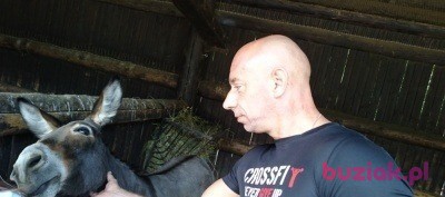 Robert, Mężczyzna, 47, Jelcz-Laskowice, Polska, Zdjęcie: 2