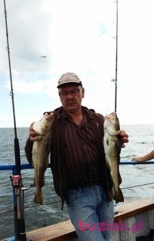 marek, Male, 59, Nowe Miasto Lubawskie, Polska, Photo: 3