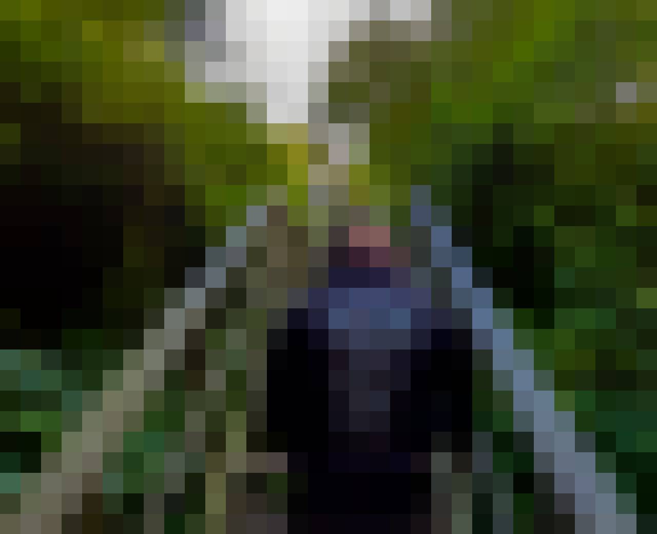 Dawid, Male, 33, Lisse South Holland Province, Holandia, Photo: 3