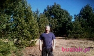 adam, Mężczyzna, 52, Rumia, Polska: 1