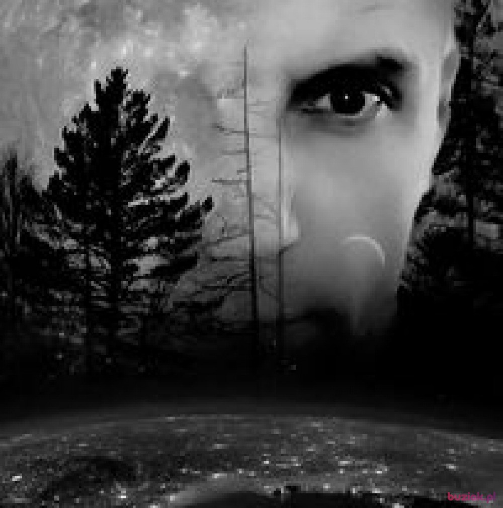 Adam ;), Mężczyzna, 41, Barlinek, Polska, Zdjęcie: 2