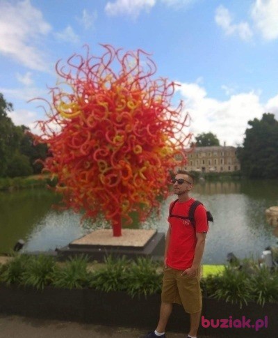 Rafal, Male, 36, Wielka Brytania, Photo: 3
