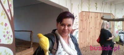 Agnieszka, Female, 45, Chorzów, Polska, Photo: 2