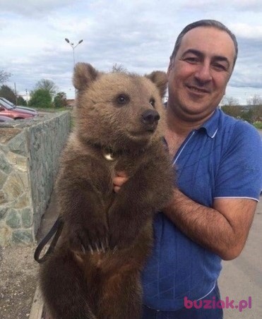 donald ray, Mężczyzna, 60, Berlin, Niemcy: 1