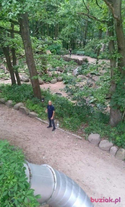 darek, Mężczyzna, 30, Ruda Śląska, Polska, Zdjęcie: 2
