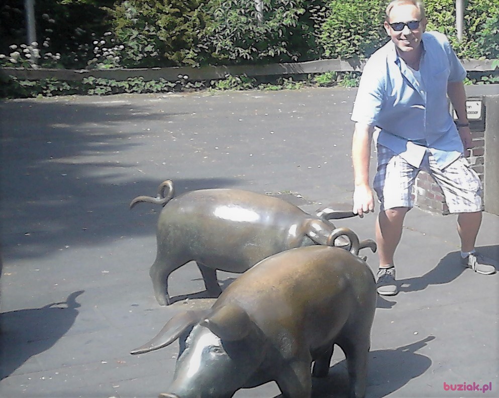 Andrzej, Mężczyzna, 59, Ostróda, Polska, Zdjęcie: 6