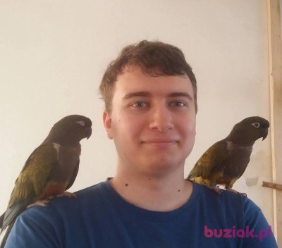 Michał, Male, 30, Kielce, Polska, Photo: 1