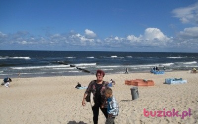 GRAZYNA, Female, 55, Ruda Śląska, Polska: 1