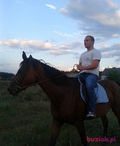 Krzysztof , Mężczyzna, 32, Częstochowa, Polska, Zdjęcie: 2