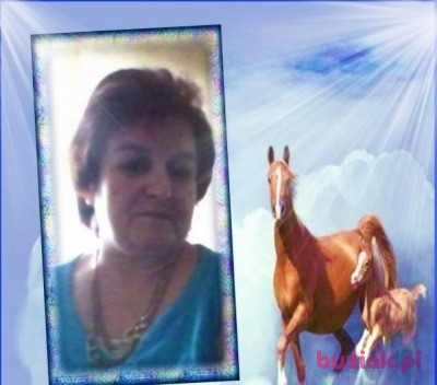 IWONA, Female, 60, Niemcy, Photo: 13