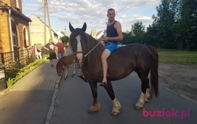 Piotrek , Male, 32, Czerwieńsk, Polska, Photo: 4