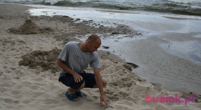 KrzysieK, Male, 43, Strzelin, Polska, Photo: 5
