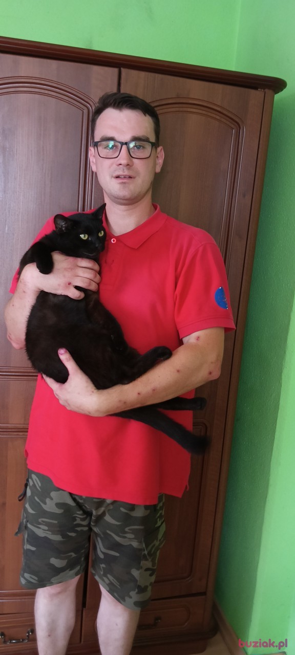 Marcin, Male, 32, Leszno, Polska: 1