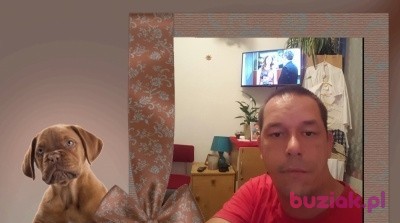 serceja, Mężczyzna, 44, Warszawa, Polska: 1