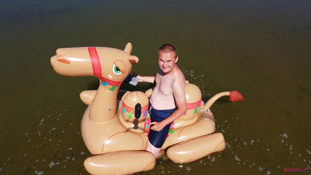 Michał, Mężczyzna, 36, Zgierz, Polska, Zdjęcie: 463