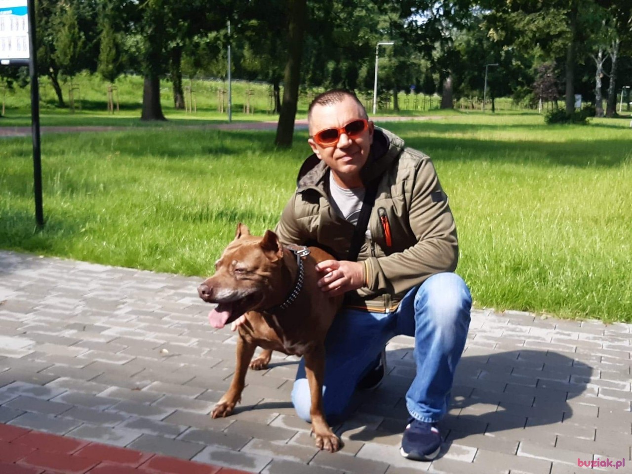 Daro, Mężczyzna, 50, Rotterdam South Holland Province, Holandia: 1