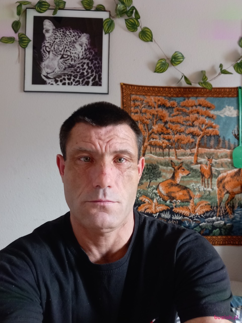 Mak, Mężczyzna, 42, Katowice, Polska: 1