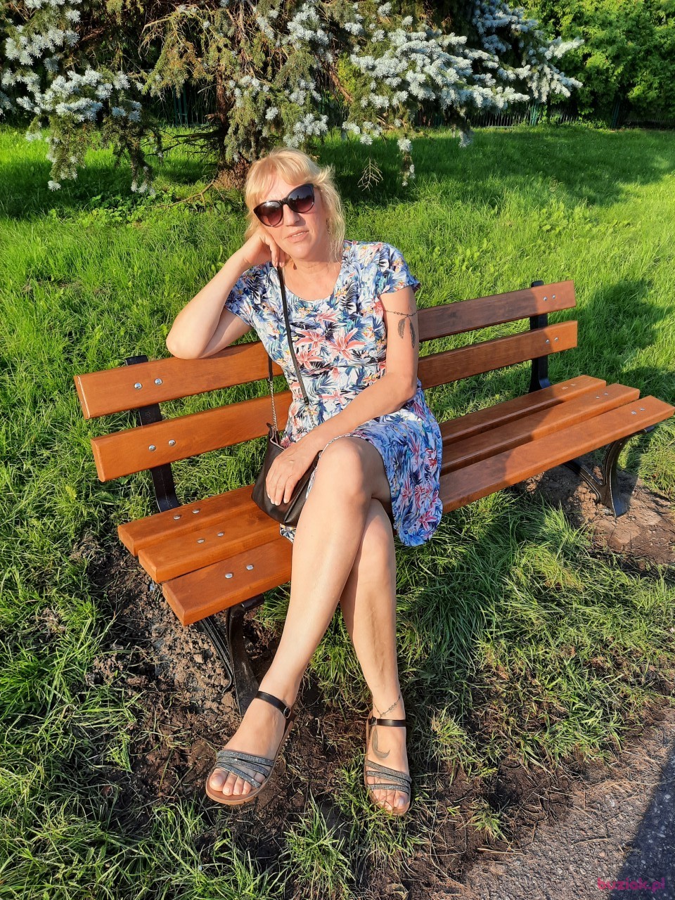 Mirella, Kobieta, 63, Holandia, Zdjęcie: 3