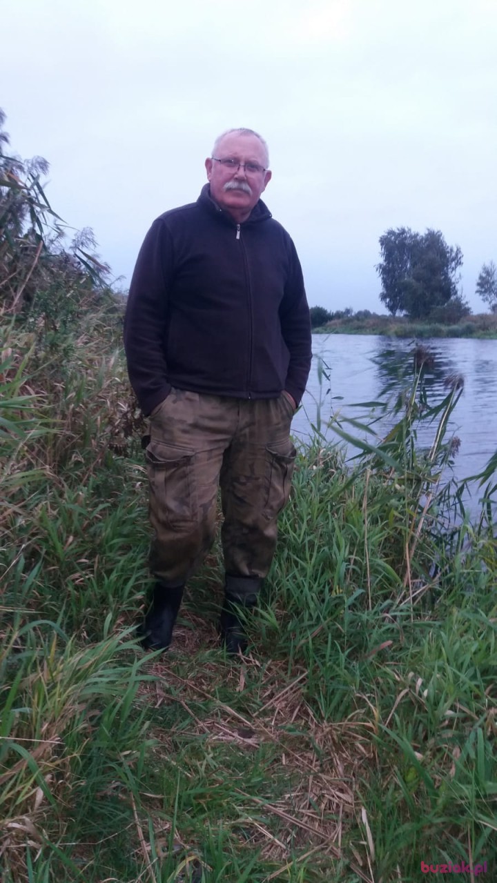Jerzy, Mężczyzna, 65, Bydgoszcz, Polska, Zdjęcie: 2
