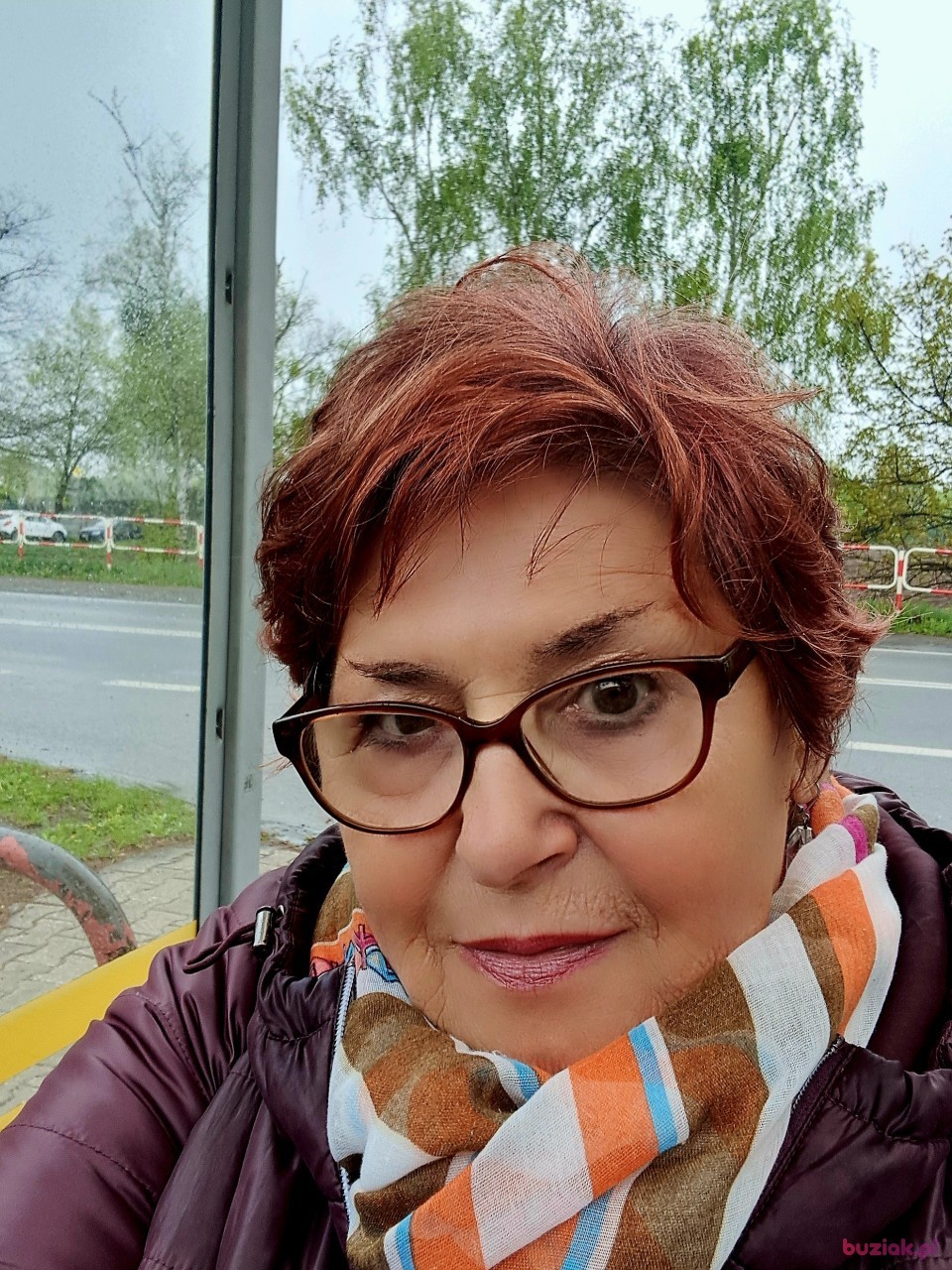 Janina, Kobieta, 72, Tarnowskie Góry, Polska, Zdjęcie: 5