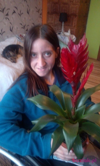 ania, Kobieta, 34, Żywiec, Polska, Zdjęcie: 1