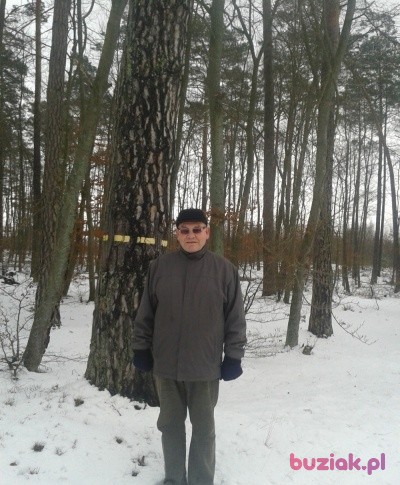 Janek , Mężczyzna, 79, Pisz, Polska, Zdjęcie: 2