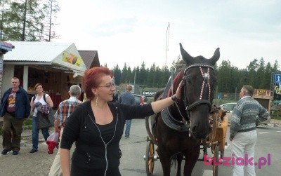 Anna, Kobieta, 47, Częstochowa, Polska, Zdjęcie: 1