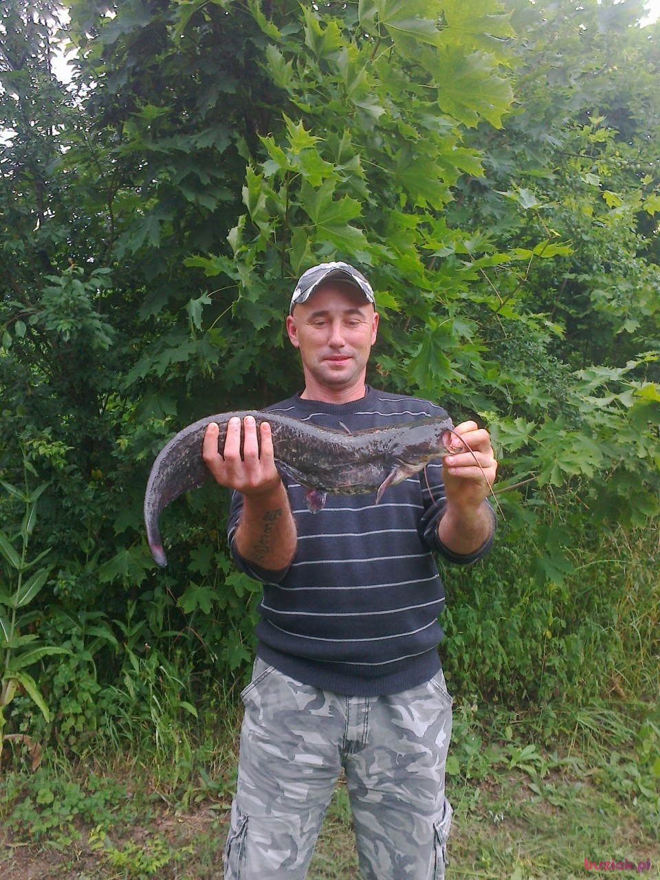 Rafał, Male, 50, Gostyń, Polska: 1