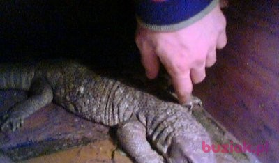 omegus, Male, 40, Kędzierzyn-Koźle, Polska, Photo: 4