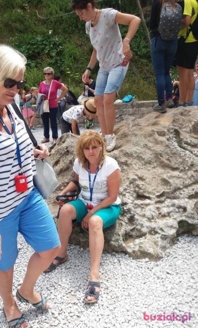Elzbieta, Kobieta, 59, Toruń, Polska, Zdjęcie: 2