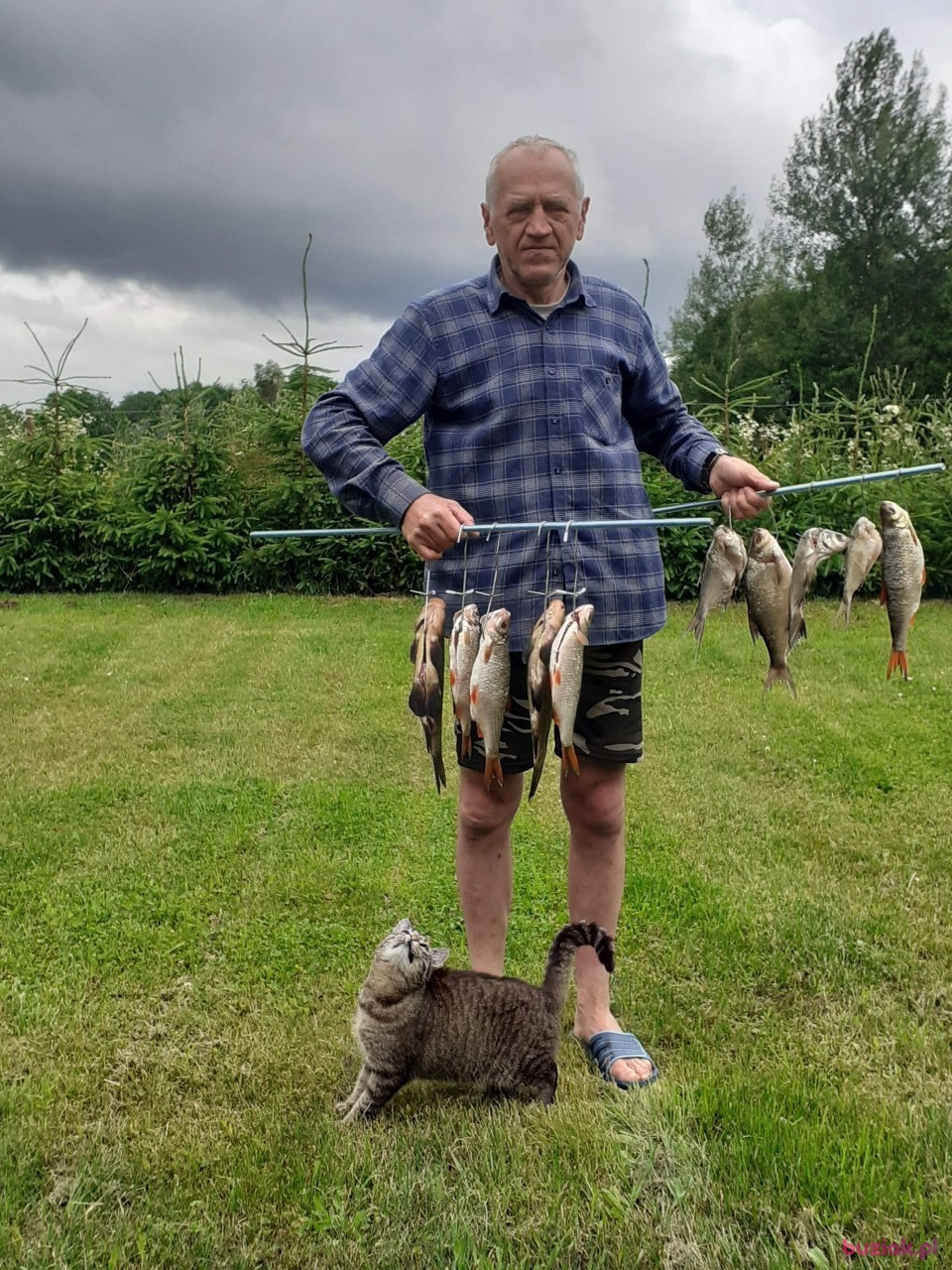 Bogdan, Mężczyzna, 63, Józefów, Polska, Zdjęcie: 2