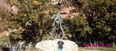 krisu, Mężczyzna, 55, Niemcy, Zdjęcie: 4