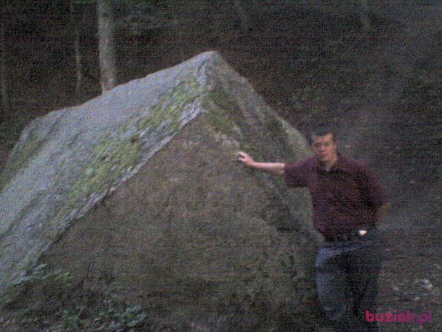 Sebastian, Male, 36, Lębork, Polska: 1