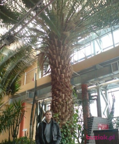pawel, Mężczyzna, 58, Kraków, Polska: 1