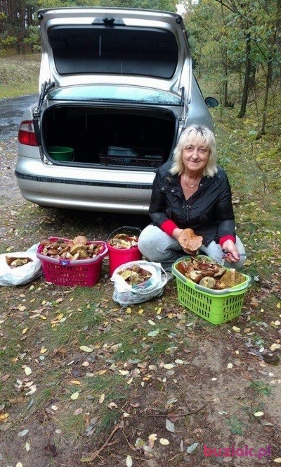 sara20, Female, 63, Świebodzice, Polska, Photo: 6