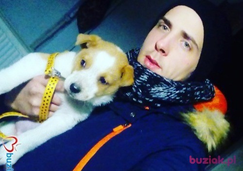 Dawid, Mężczyzna, 29, Piła, Polska: 1