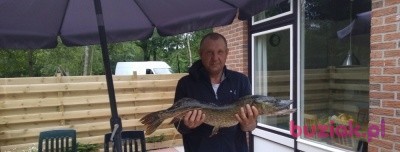 Chalsan, Male, 50, Holandia: 1