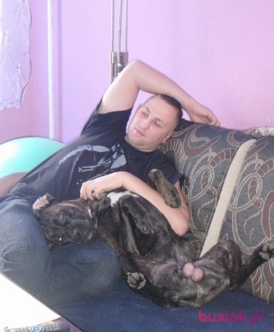 Daniel, Mężczyzna, 37, Toruń, Polska, Zdjęcie: 2
