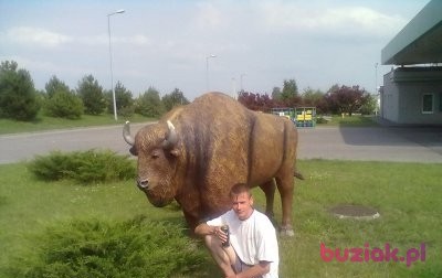 jacek, Mężczyzna, 37, Kazimierza Wielka, Polska: 1