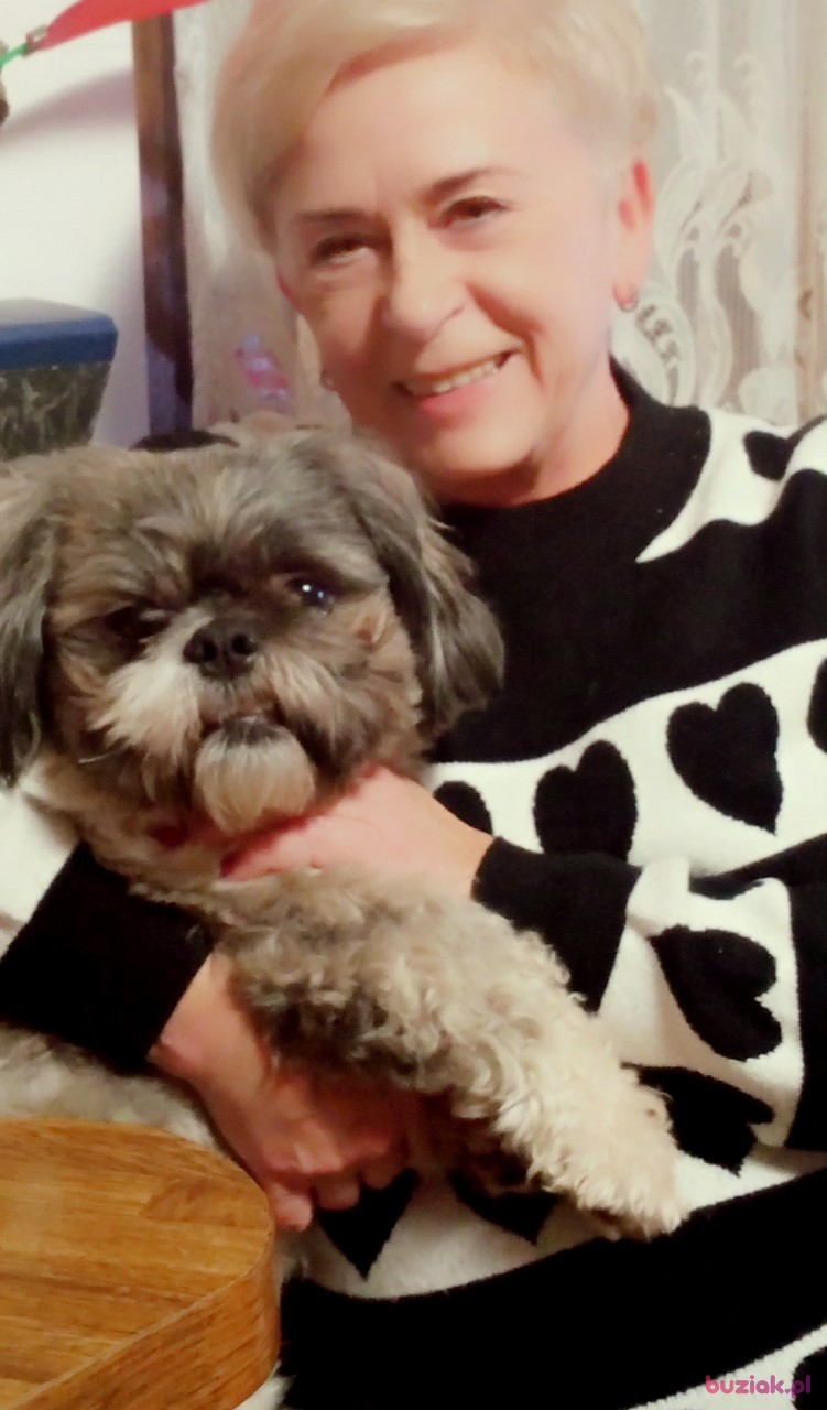 Krysia, Kobieta, 66, Mielec, Polska, Zdjęcie: 6