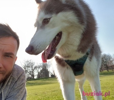 Radek, Male, 37, Wielka Brytania: 1