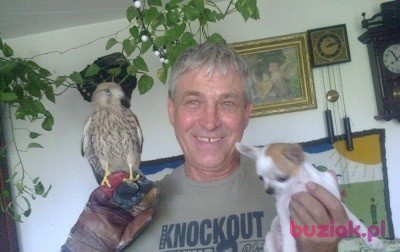 marek, Male, 71, Olkusz, Polska, Photo: 6
