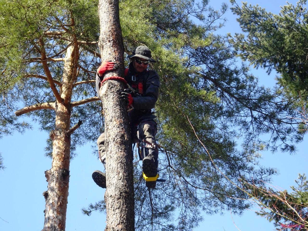 CIACHO, Mężczyzna, 50, Częstochowa, Polska, Zdjęcie: 1