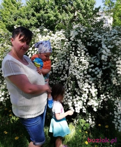 Wiola, Kobieta, 53, Szczecin, Polska: 1