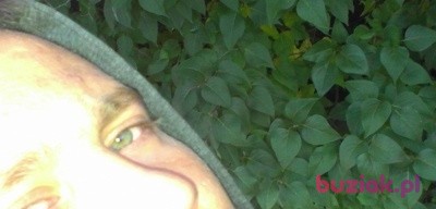 Arek, Mężczyzna, 33, Brodnica, Polska: 1