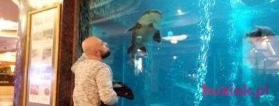 Gabriel, Mężczyzna, 44, Jelenia Góra, Polska, Zdjęcie: 3
