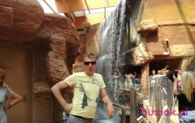 Robert, Mężczyzna, 53, Bełchatów, Polska: 1